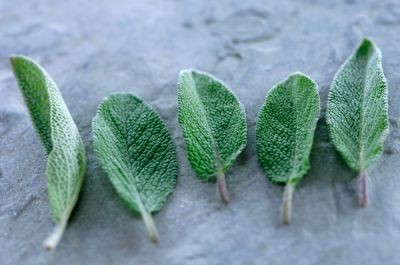 ���综���ܷ����