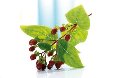 ���°��糣�ڲ�����������ʲô