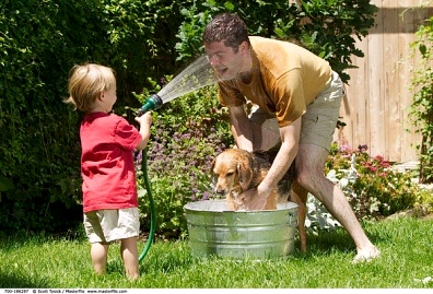 ��������Щ��������