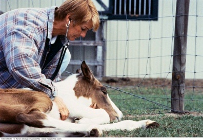 ����Ի��ߵ����������ʲô����Ӱ��