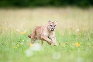 �沿������ʲô����