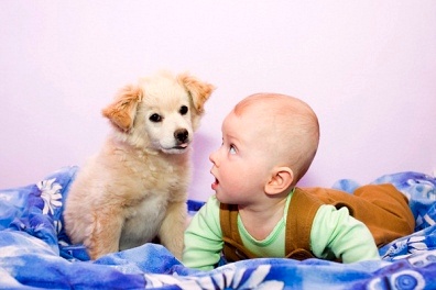 �������ƣ�����ǹؼ�