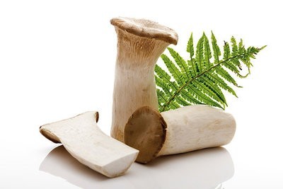 白癜风的症状特点有什么