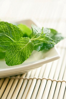 ���综�߸������ʳ