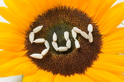 »áµ¼Ö°װ߲¡¾ÃÖβ»ÓúµÄÔÒòÓÐÄÄЩ