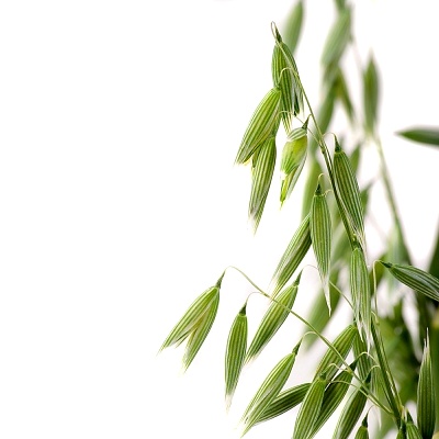 局限型白癜风能治好吗