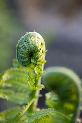 ����Ϊʲô����