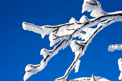 �ɶ�����᲻�ᴫȾ