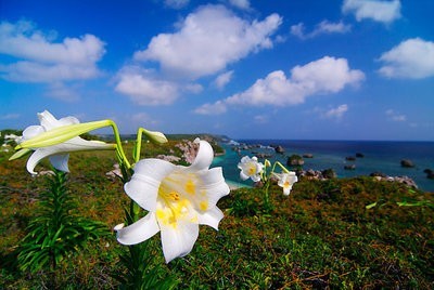 治疗白癜风的费用是多少