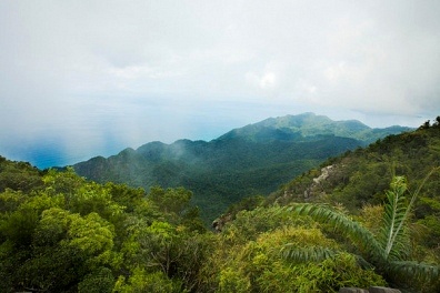 ���ư���Ҫ���ķ�������