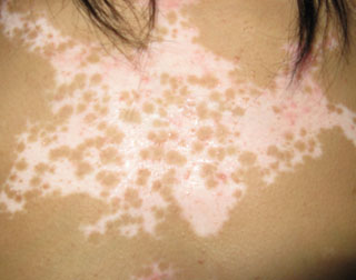 Ϊʲô����������