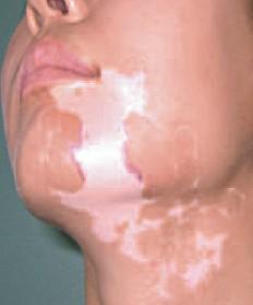 ��������Ҫ���