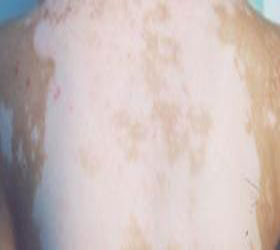 ���ڰ�������Ҫ������Щ