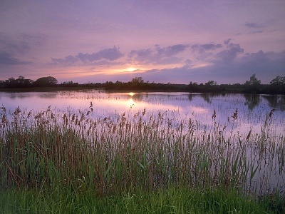 ���ڰ�������������