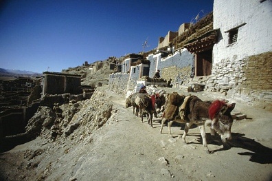 ����ѹ����Ӱ�쵼�°���