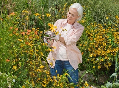 ������������Ч����������Ҫ����Щ��